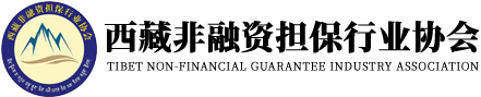 西藏非融资担保行业协会  